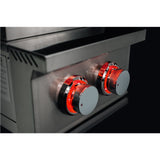 TrueFlame Double Side Burner with brass-plated burners, providing powerful cooking with 24,000 BTUs for grilling and side dishes.