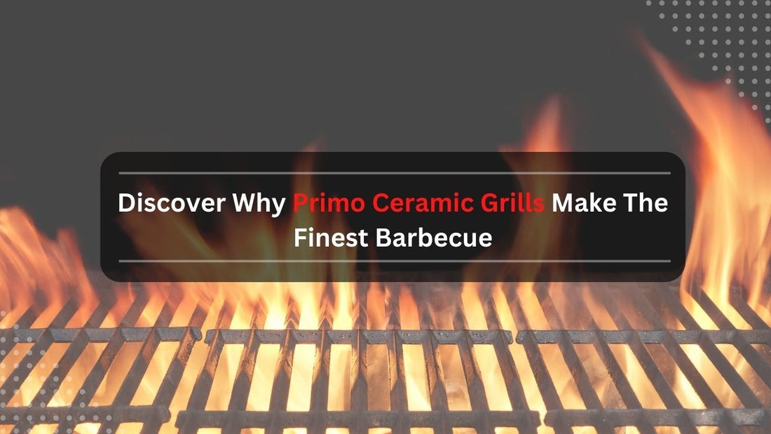 Discover why primo ceramic grills make the finest barbecque