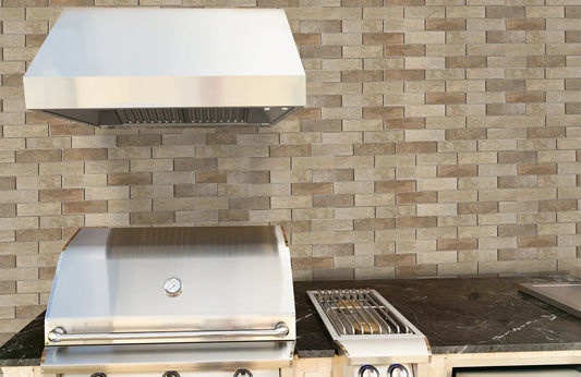 RCS 48" Stainless Steel Outdoor Vent Hood 2000 CFM
