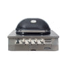 Primo Oval G420 Head Only Gas Grill