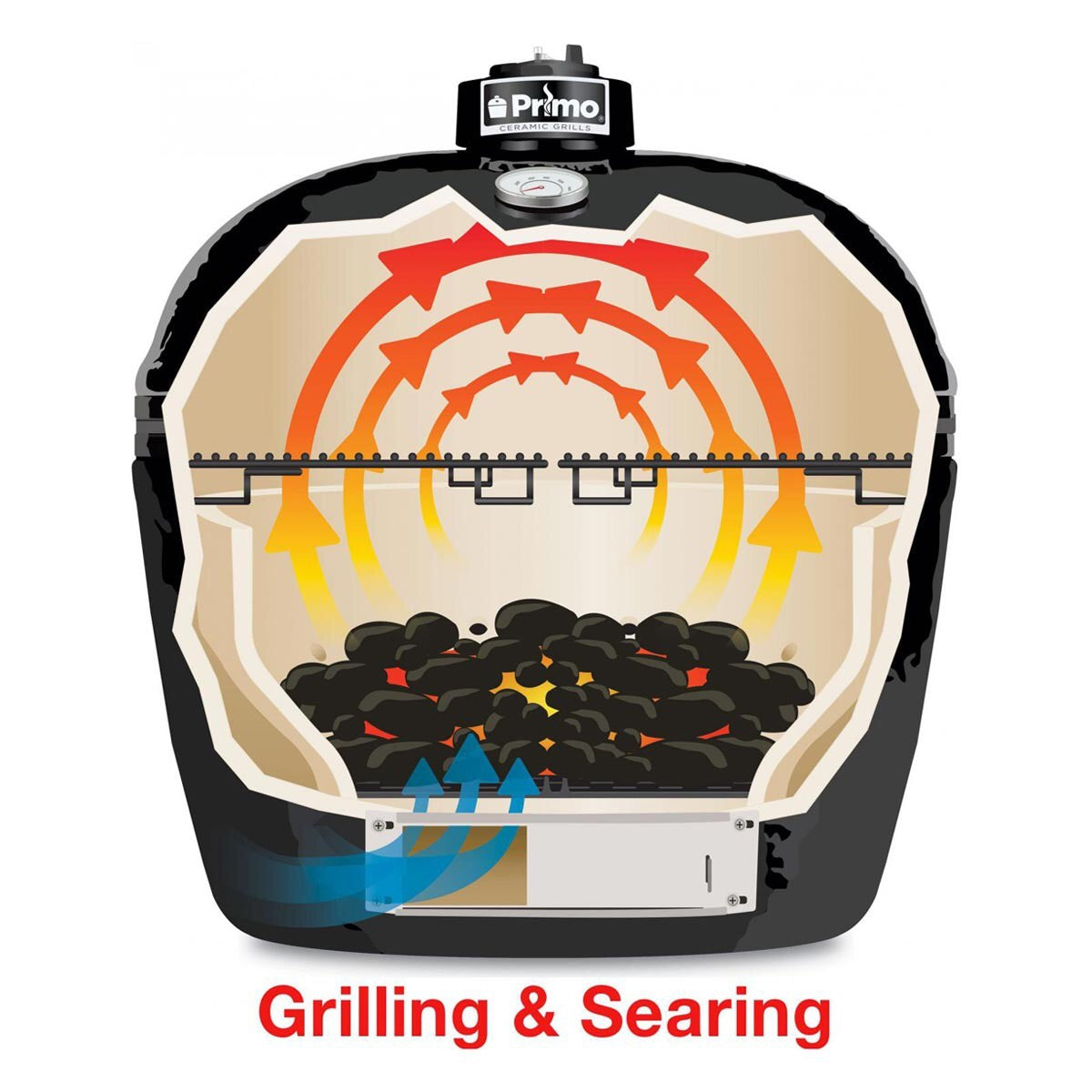 Primo XL Charcoal Grill